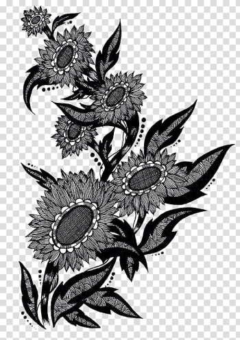 Sunflower Border Black And White The Most Downloaded Images