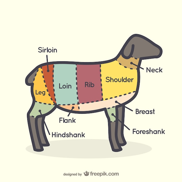 Lamb Butcher Chart