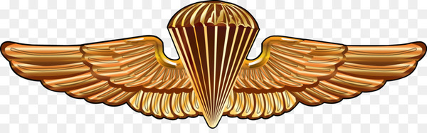 United States Army Airborne School United States Navy Seals Parachutist