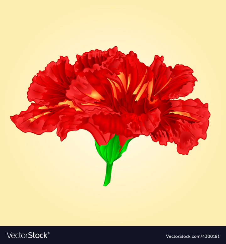 Featured image of post Simple Hibiscus Flower Vector Find download free graphic resources for hibiscus
